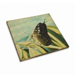 Untersetzer Schmetterling kleiner Fuchs Holz 10 x 10 cm