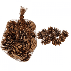 Wohnaccessoires: Tannenzapfen im Netz, 6 cm