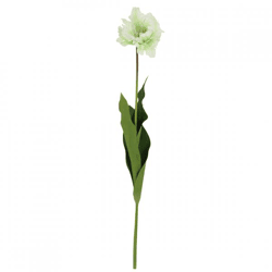 Countryfield Kunstblume Tulpe Tulipa weiß 73 cm