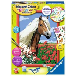 Haflinger - Malen nach Zahlen
