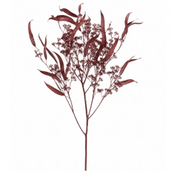 J-Line Trockenast Eukalyptus Wild, bordeauxrot, 85 cm
