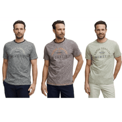 klassisches FQ1924 FQIvar Herren T-Shirt mit Rundhals Shirt 21900538 in Grau, Braun oder Grün