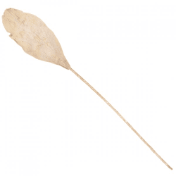 Künstliches Palmenblatt beige 103 cm