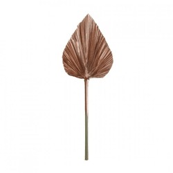 Light & Living Kunstzweig mit Palmblatt „Plantae“, kupferfarben, 57 cm