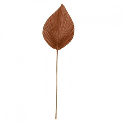 Light en Living Kunstzweig mit Palmblatt „Plantae“, braun, 90 cm