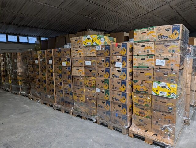  Assorted Pallets – Garden, Electronics, Home Appliances, Household & Pet Supplies | B-Grade Goods | starting at 2.70 EUR/kg