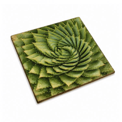 Untersetzer Sukkulente Agave victoria Holz 10 x 10 cm