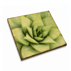 Untersetzer Sukkulente Opuntia subulata Holz 10 x 10 cm