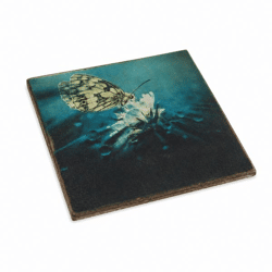 Untersetzer Schmetterling Elsterstrandläufer Holz 10 x 10 cm