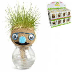 Grass head face plant in vase 12 cm 4 assorted