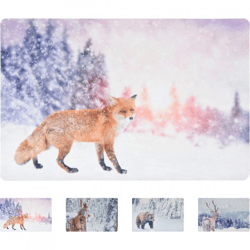H&S collection Fußmatte Weihnachten Winter 58 cm 4 Stück sortiert