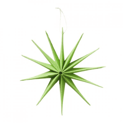 Boltze Weihnachtsstern „Kassio“, grün, 20 cm