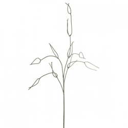 J-Line künstlicher Zweig Rhipsalis grün 94 cm