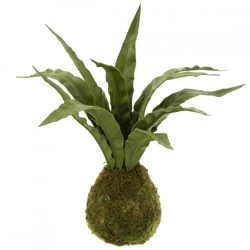 J-Line Kunstpflanze Sansevieria 35 cm