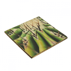 Untersetzer Kaktus Echinocactus ingens Holz 10 x 10 cm