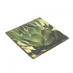 Untersetzer Sukkulente Opuntia subulata Holz 10 x 10 cm