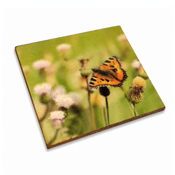 Untersetzer Schmetterling Distel Schmetterling Holz 10 x 10 cm