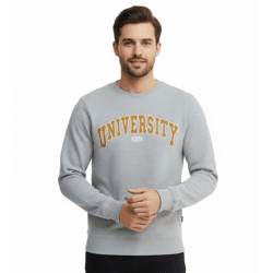 11 PROJECT Davin Herren Sweater mit UNIVERSITY Frontprint Baumwoll-Sweatshirt 20715943 200274 Grau