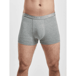 Lightweight Tommy Hilfiger Men's Shorts, Gray