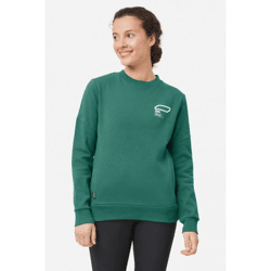 Looking for Wild Women's Bosson Sweater in Green