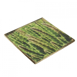 Untersetzer Kaktus Euphorbia erytrea Holz 10 x 10 cm