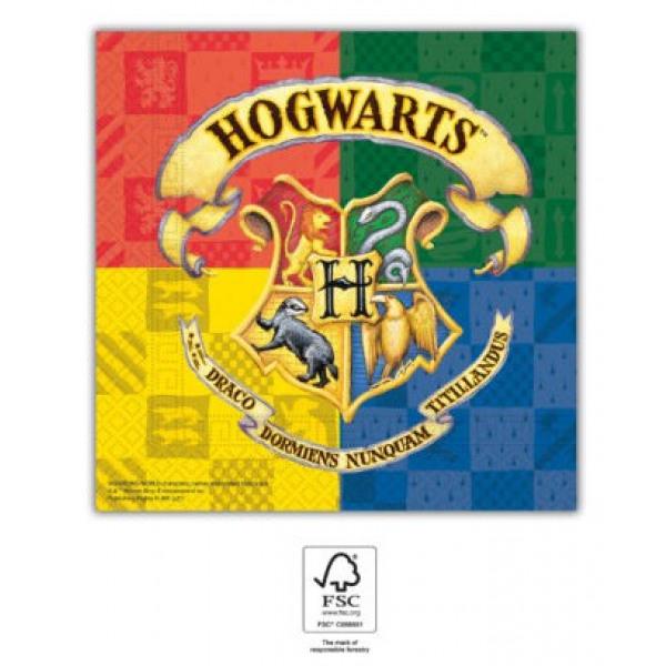 Harry Potter Hogwarts - 20 Servietten - 33 x 33 cm