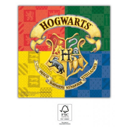 Harry Potter Hogwarts - 20 Servietten - 33 x 33 cm