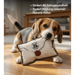 Harry Potter Hundekauspielzeug Kauspielzeug Hundespielzeug im Notizbuch Brief-Motiv Beißspielzeug 15x5x20cm Weiß