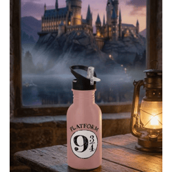 Harry Potter Trinkflasche „Hogwarts Express“ 500 ml Edelstahl Trinkflasche im magischen Design Rosa