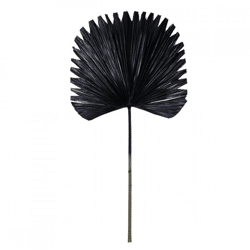 Light & Living Kunstzweig mit Palmblatt „Plantae“, schwarz, 91 cm