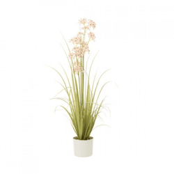 J-Line Kunstpflanze Allium im Topf, 116 cm
