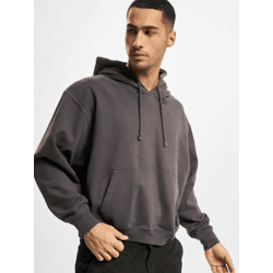 Casual 2Y Premium Men's Hoodie with Drawstring Hood, Cotton, Gray