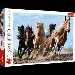 Galloping horses - Puzzle 10446 - 1000 pieces