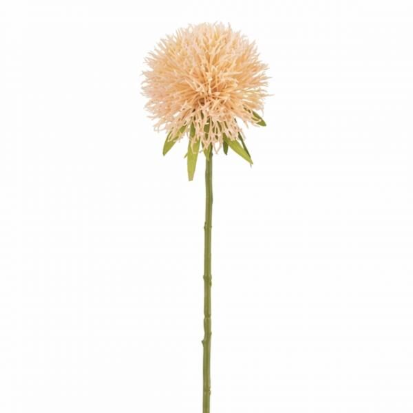 J-Line Kunstblume Allium Pfirsich 44 cm