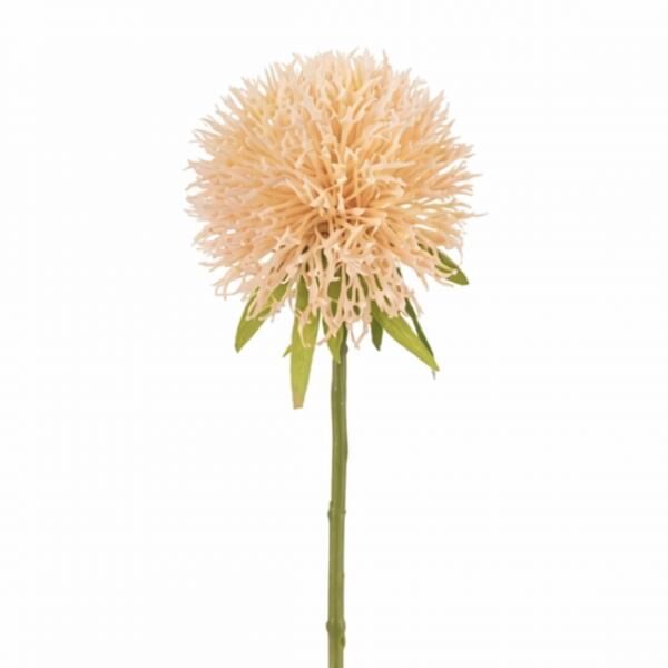 J-Line Kunstblume Allium Pfirsich 44 cm