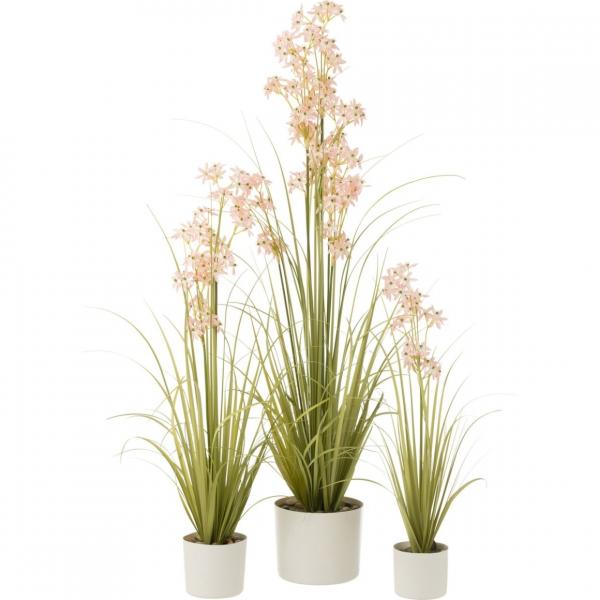 J-Line Kunstpflanze Allium im Topf, 116 cm