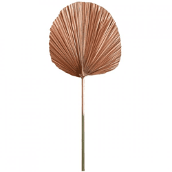 Light en Living Kunstzweig mit Palmblatt „Plantae“, kupferfarben, 87 cm