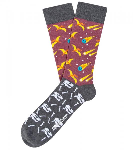 1 Paar Moustard Extinction Baumwoll-Socken mit Kometen und Dinosauriern gemusterte lange Str&uuml;mpfe 18S-EXT Grau/Rosa/Bunt