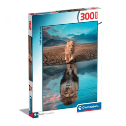 300 Teile Puzzle Supercolor - Selbstwahrnehmung