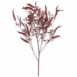 J-Line Trockenast Eukalyptus Wild, bordeauxrot, 85 cm