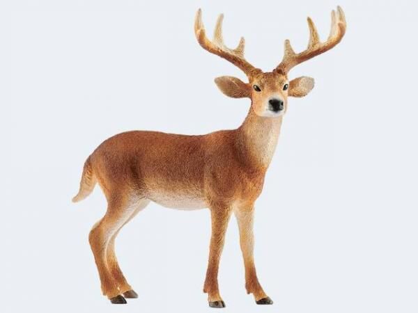 Schleich 14818 - Wild Wei&szlig;wedelhirsch Spielfigur