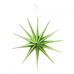 Boltze Weihnachtsstern „Kassio“, grün, 20 cm