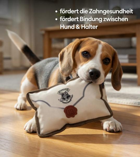 Harry Potter Hundekauspielzeug Kauspielzeug Hundespielzeug im Notizbuch Brief-Motiv Bei&szlig;spielzeug 15x5x20cm Wei&szlig;