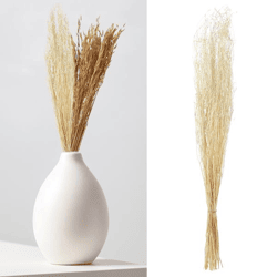 Dried coriander grass, bunch, approx. 85-90cmH