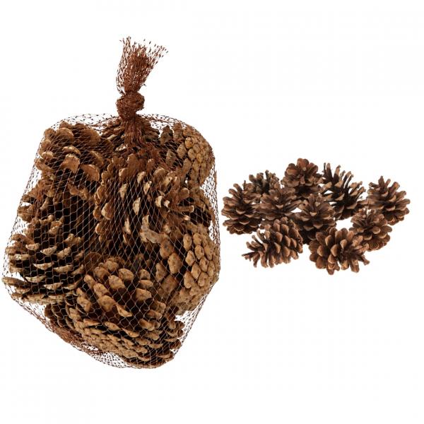 Home Decor: Pine Cones in a Net, 6 cm