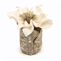 Kunstblume Helleborus im Topf, Blätter goldfarben/cremefarben, 10 cm