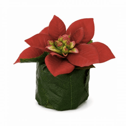 Kunstbloem Kerstster in pot blad rood 8 cm