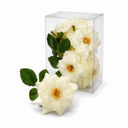 Mini-Rosen, cremefarben, 5 cm, 9er-Set