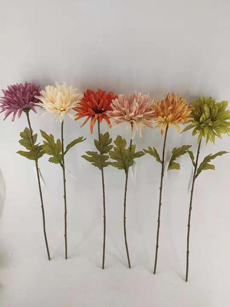 Kunstblume, Aster, 6/s ca. 62cmH