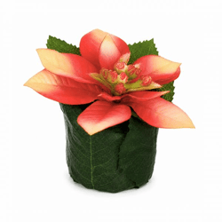 Kunstblume „Weihnachtsstern“ im Topf, Blätter rot/gelb, 8 cm